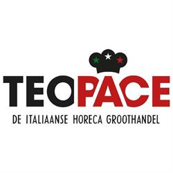 Handelsonderneming T. Pace B.v.