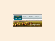 Wooltrade B.v.