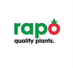 Rapo Verkoop B.v.