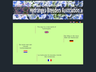 Hydrangea Breeders Association B.v.