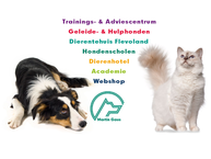 Website van Martin Gaus Enterprises B.v. 