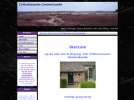 Praktijk voor Orthomanuele Geneeskunde de Wijk