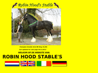 Robin Hood's Stables