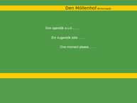 Den Möllenhof B.v.
