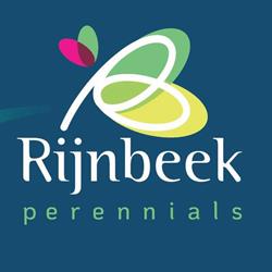 Rijnbeek And Son Perennials Export B.v.