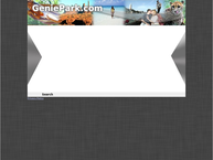 Geniepark Consulting B.v.