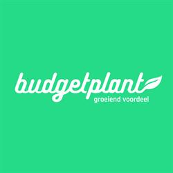 Budgetplant