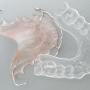 Orthodontiepraktijk Meppel