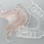 Orthodontiepraktijk Meppel