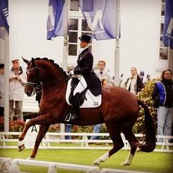 Dressuurstal Anne Lehmann