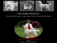 Dogs Fair