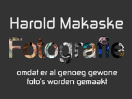 Digitale Boekenstad Nederland
