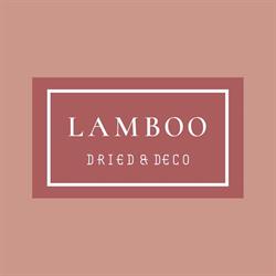 Koos Lamboo dried & deco
