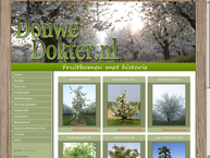 Douwe Dokter