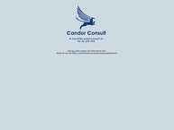 Candor Consult Holding B.V.
