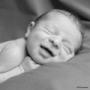 Newborn