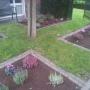Tuin