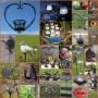 diverse Robanjer producten