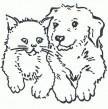 Dierenpension De Wetering