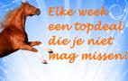 Happyhorsedeal
