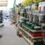 Winkel