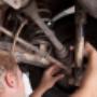 Garage Hoogesteger
