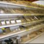 ELBO Bouwgereedschappen en Machines