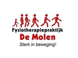 Fysiotherapiepraktijk De Molen B.V.