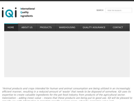 Website van Fontes B.v. 