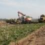 Schriek en Hol Puinrecycling BV