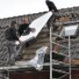 Installatie- en Reparatiebedrijf G W Luiten