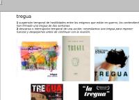 Tregua B.V.