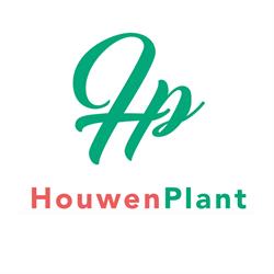 Houwenplant-Energie B.V.