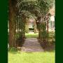 Abee Tuinadvies en Realisatie