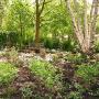 Abee Tuinadvies en Realisatie