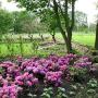 Abee Tuinadvies en Realisatie