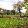 Abee Tuinadvies en Realisatie