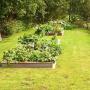 Abee Tuinadvies en Realisatie