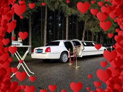 Five Star Limo