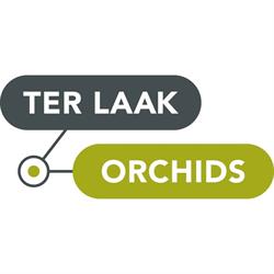 Ter Laak Orchids Plant B.V.