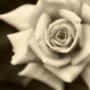 Uitvaartverzorging Mutsaers