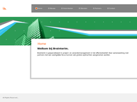 Website van Brainterim 