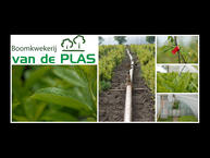 Boomkwekerij van de Plas