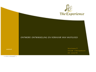 Website van The Experience 
