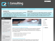 E.consulting B.v.