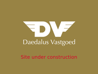 Daedalus Beheer B.v.