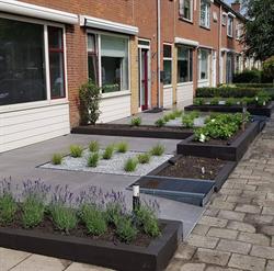 Bob de Jong Hoveniersbedrijf