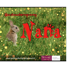 gastouderopvangnana