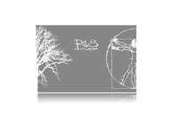 Riks Ontwerp