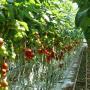 Boix Europe BV